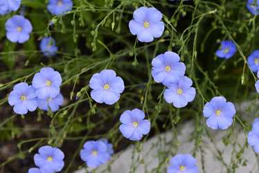 Similar image 21853924