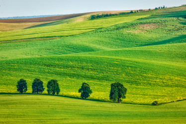 Similar image 21853647