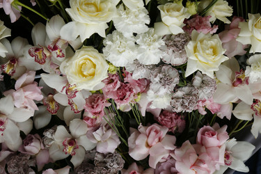 Similar image 21853813