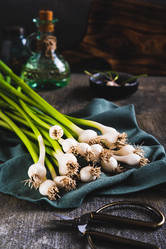 Similar image 21850940