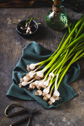 Similar image 21850942