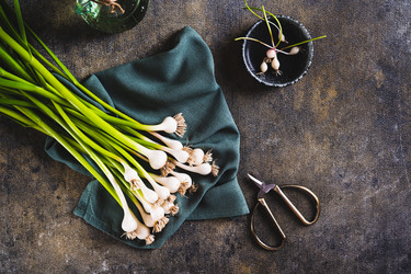 Similar image 21850943