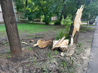 Similar image 21855807