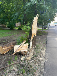 Similar image 21855808