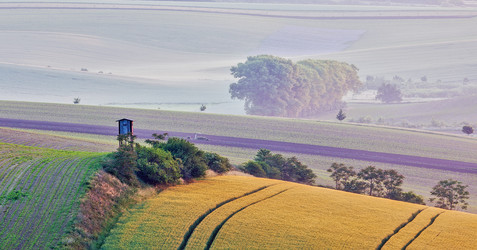 Similar image 21854540