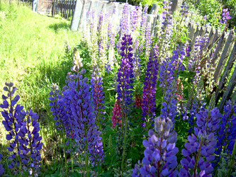 Similar image 21853930