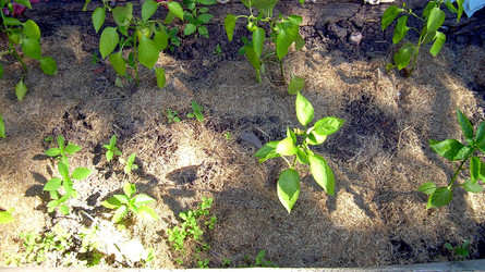 Similar image 21854663