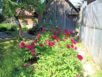 Similar image 21854664