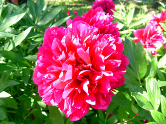 Similar image 21854665