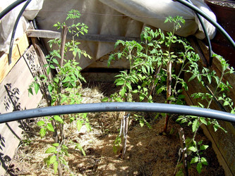 Similar image 21853933