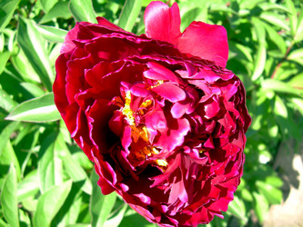 Similar image 21854666