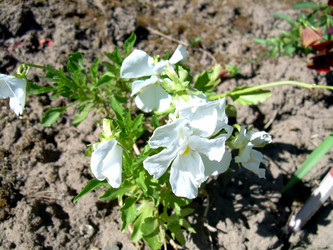 Similar image 21853934