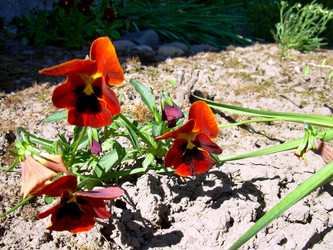 Similar image 21853936