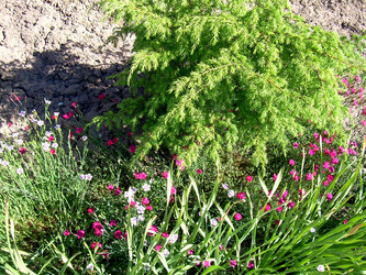 Similar image 21854669