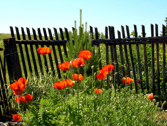 Similar image 21853937