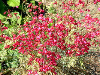 Similar image 21853938