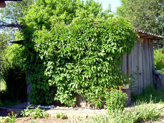 Similar image 21853939