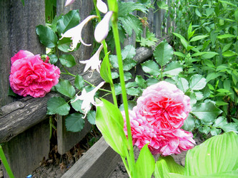 Similar image 21853940