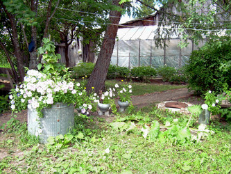 Similar image 21853941