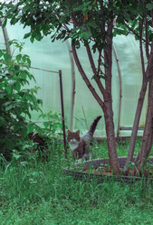 Similar image 21853827