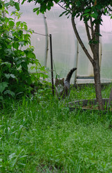 Similar image 21853828