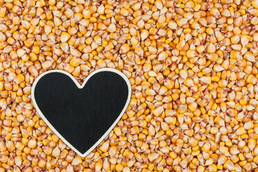 Similar image 21853949