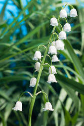 Similar image 21853952