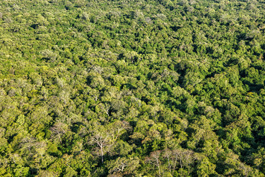 Similar image 21854622