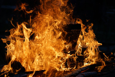 Similar image 21854011