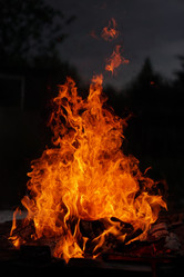 Similar image 21853848