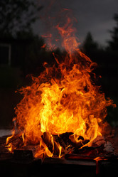 Similar image 21853850