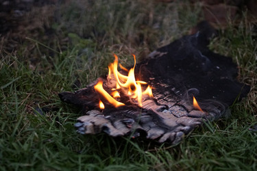 Similar image 21853881