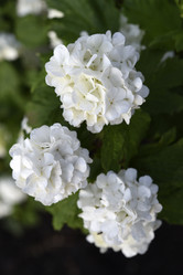 Similar image 21854012