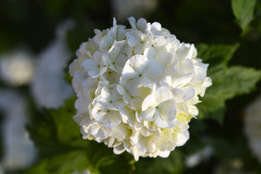 Similar image 21854013