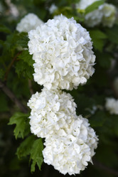 Similar image 21854014