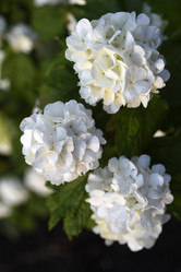 Similar image 21854016