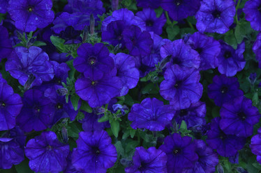 Similar image 21854017