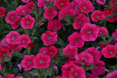 Similar image 21854021