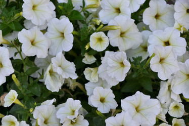 Similar image 21854022