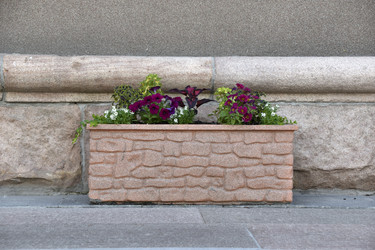 Similar image 21854031