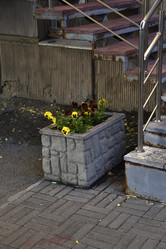 Similar image 21854032