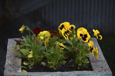 Similar image 21854033