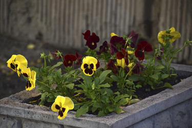 Similar image 21854034