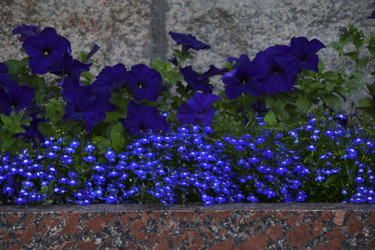 Similar image 21854036