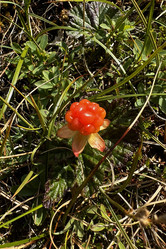 Similar image 21854040