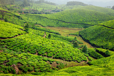 Similar image 21855391