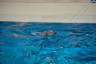 Similar image 21854041