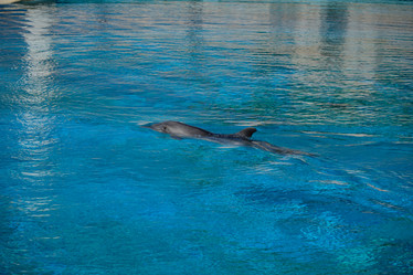 Similar image 21854042