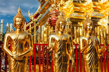 Similar image 21854713