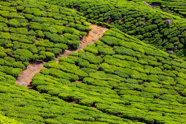 Similar image 21855418